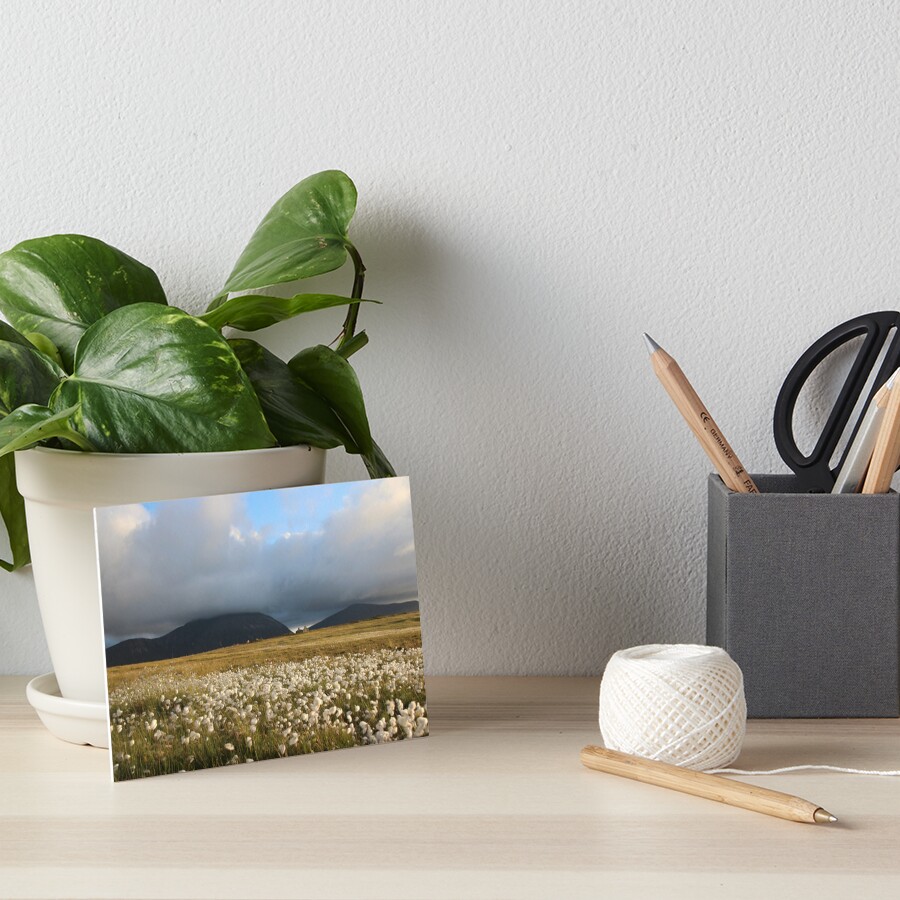 Hoy Hills from Graemsay Art Board Print