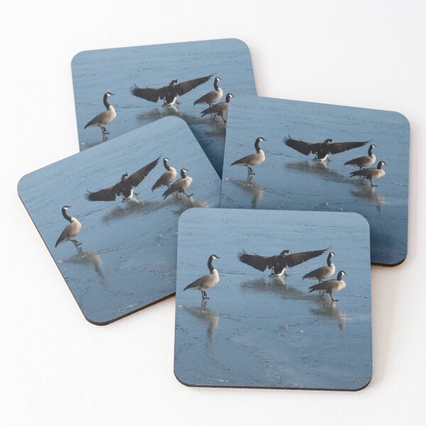 Item preview, Precarious Walk on the Ice - Canada Geese, Lake Ontario, Toronto designed and sold by Georgia Mizuleva.