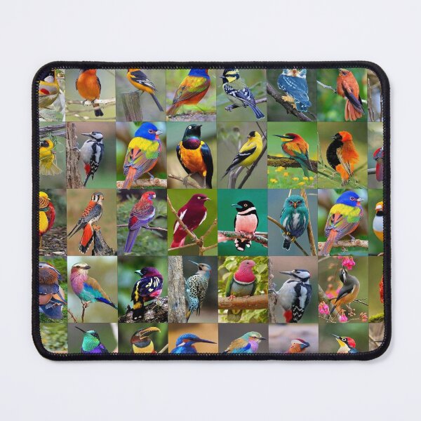 Item preview, Colorful Birds designed and sold by Montage-Madness.