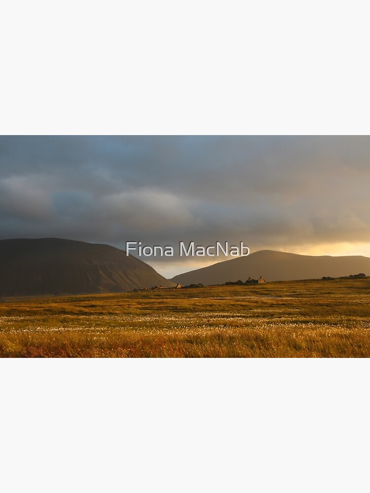 Evening light on Hoy and Graemsay by orcadia