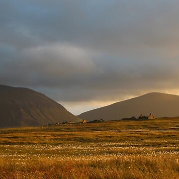 Artwork thumbnail, Evening light on Hoy and Graemsay by Fiona MacNab