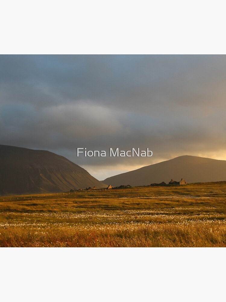 Evening light on Hoy and Graemsay by orcadia