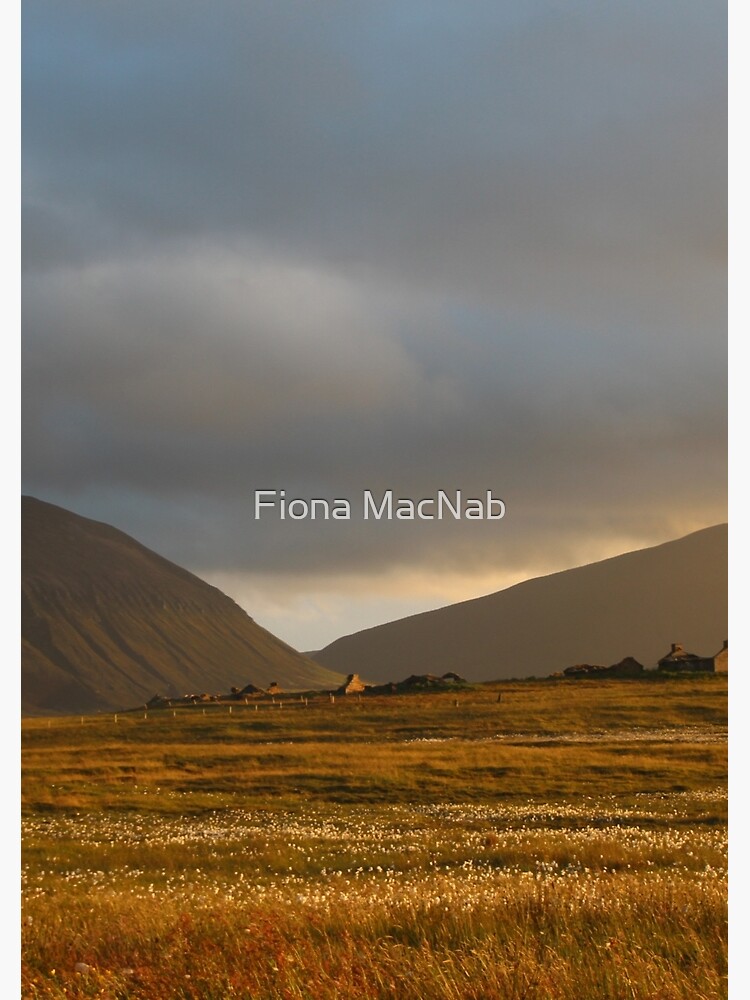 Evening light on Hoy and Graemsay by orcadia