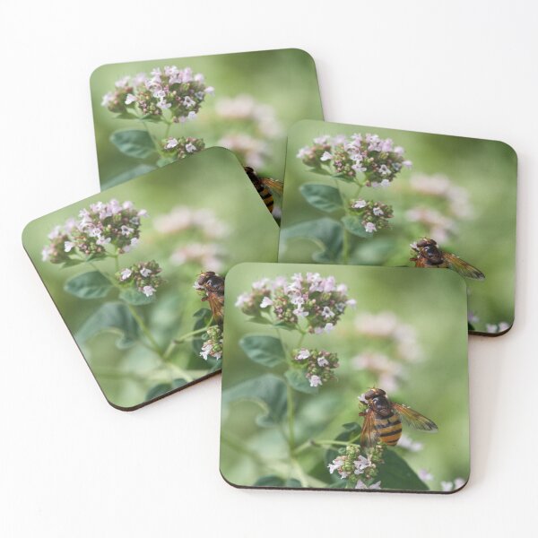 Item preview, Hoverfly dreaming designed and sold by Jouko Lehto Photography.