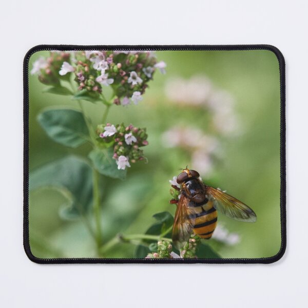 Item preview, Hoverfly dreaming designed and sold by Jouko Lehto Photography.