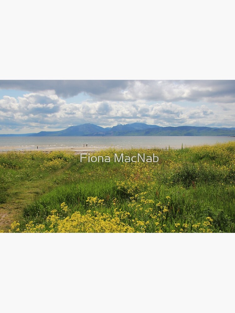 Arran from Scalpsie Bay, Bute by orcadia