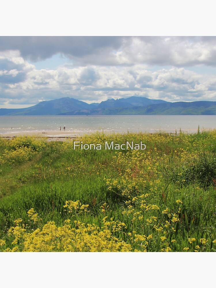 Arran from Scalpsie Bay, Bute by orcadia
