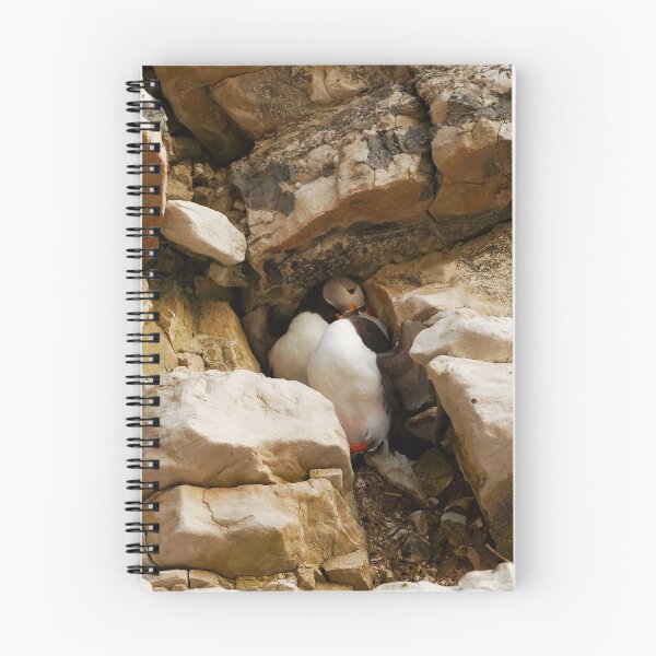 Item preview, CLIFF COUPLE designed and sold by andrewsaxton.