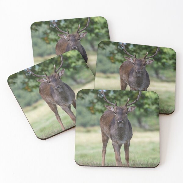 Item preview, Fallow Deer Buck (III) designed and sold by DonMc.