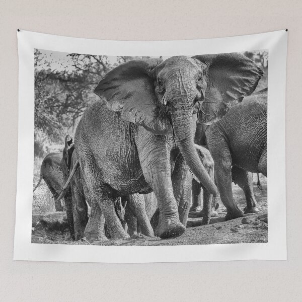 Item preview, Elphant female matriarch designed and sold by Michael Moss Photography.