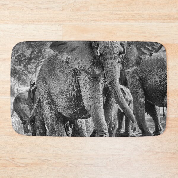Item preview, Elphant female matriarch designed and sold by Michael Moss Photography.