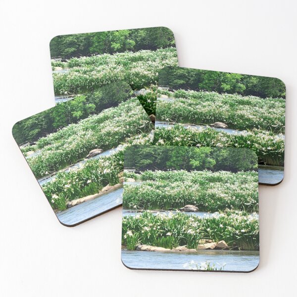 Item preview, Shoals Spider Lily At Landsford Canal State Park South Carolina 2 designed and sold by LisaWootenPhoto.