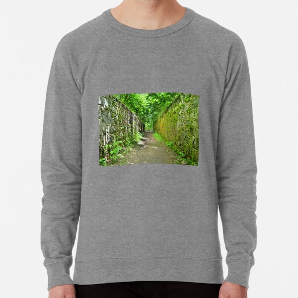 Chester Stone Sweatshirts Hoodies for Sale Redbubble