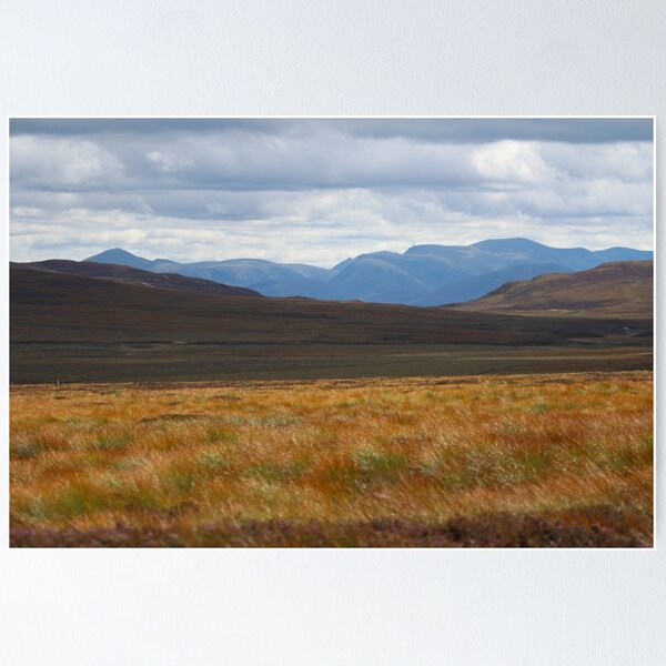 Item preview, Cairngorm autumn designed and sold by Fiona MacNab.