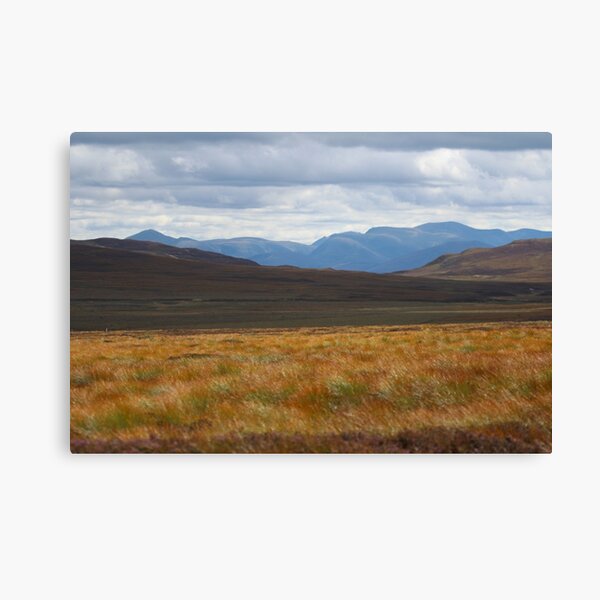 Item preview, Cairngorm autumn designed and sold by Fiona MacNab.