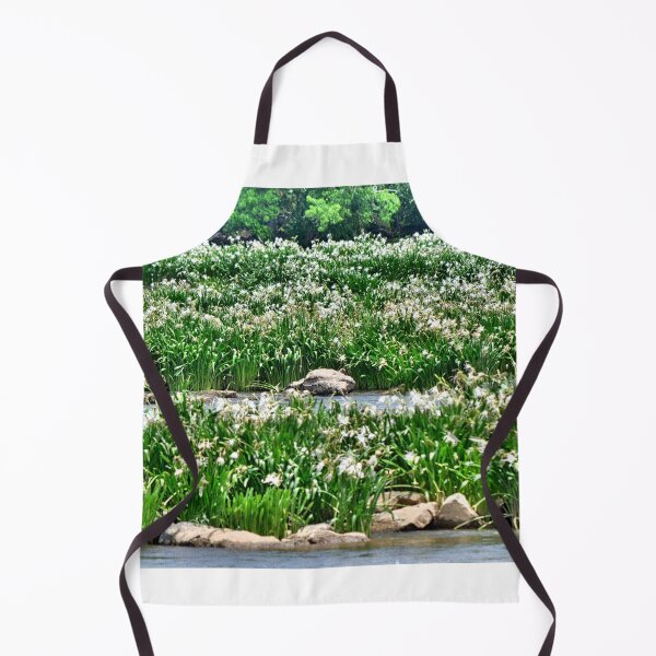 Item preview, Shoals Spider Lily At Landsford Canal State Park South Carolina 3 designed and sold by LisaWootenPhoto.