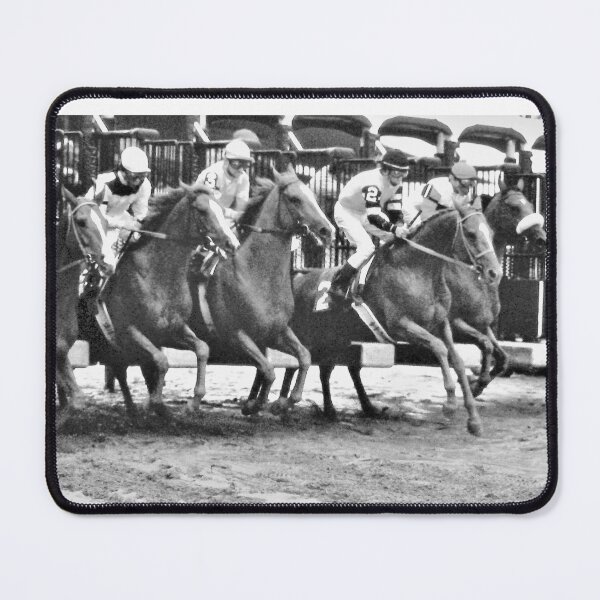 Item preview, C2021 Steve Yellowbear Fine Art NEW YORK STAKES RACE GATE BREAK designed and sold by SteveYellowbear.