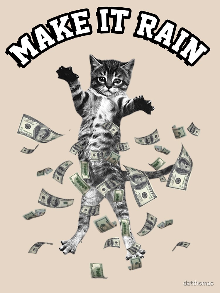 Игра money cat. Картинка мани. Деньги Мем. Монополия кошки деньги. Money_Cat_Team рисунок.