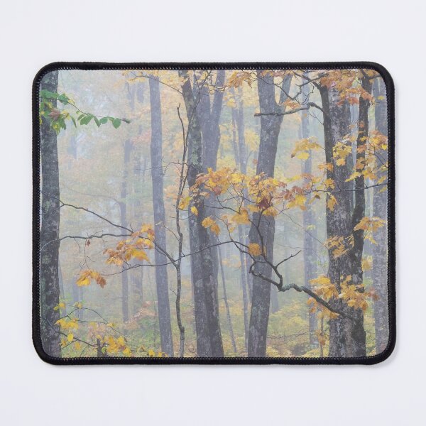 Item preview, Misty Morning in the Woods - Porcupine Mountains Wilderness SP designed and sold by TheCurators.