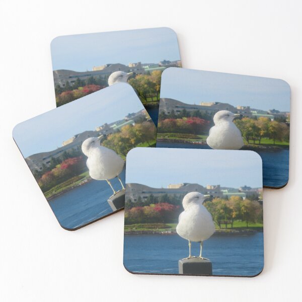 Item preview, Seagull designed and sold by Shulie1.