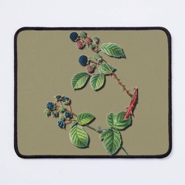 Item preview, Vintage Watercolour Berries for the artlover in 3D on brown designed and sold by Rockpools.