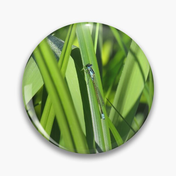 Item preview, Common bluetail damselfly designed and sold by greentiger1.