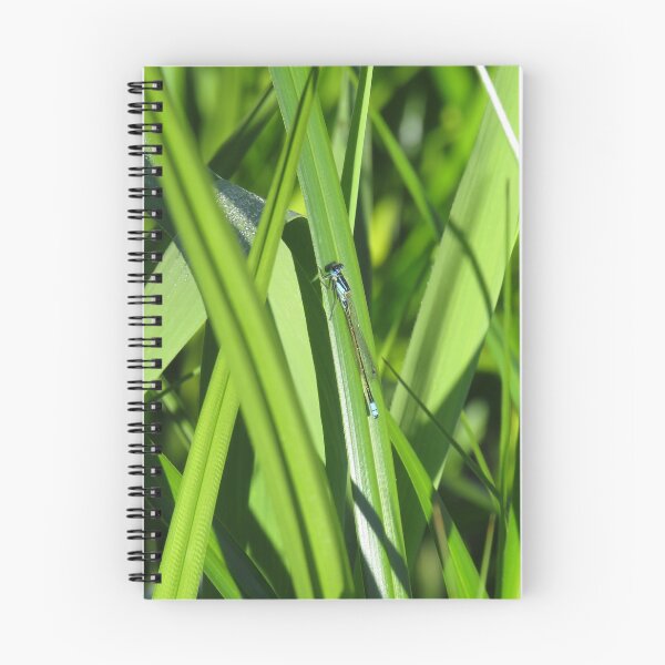 Item preview, Common bluetail damselfly designed and sold by greentiger1.
