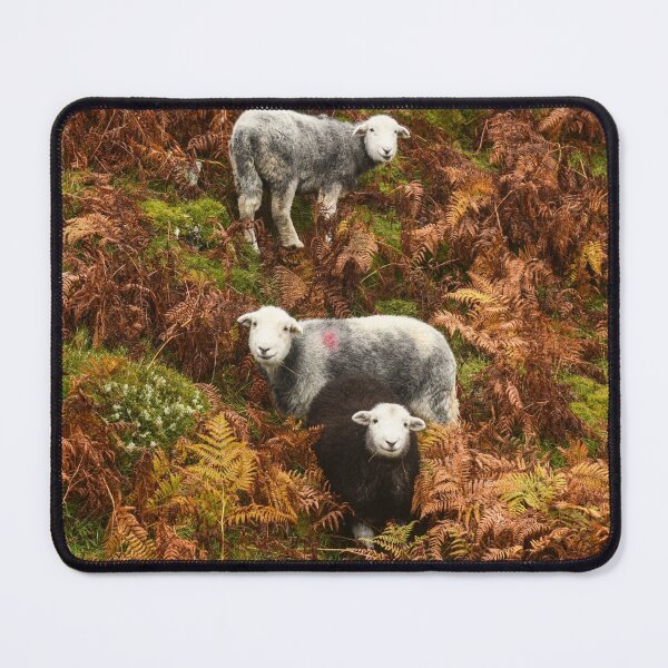 Item preview, The Lake District: Autumnal Herdies designed and sold by Rob Parsons (Just a Walker with a Camera).