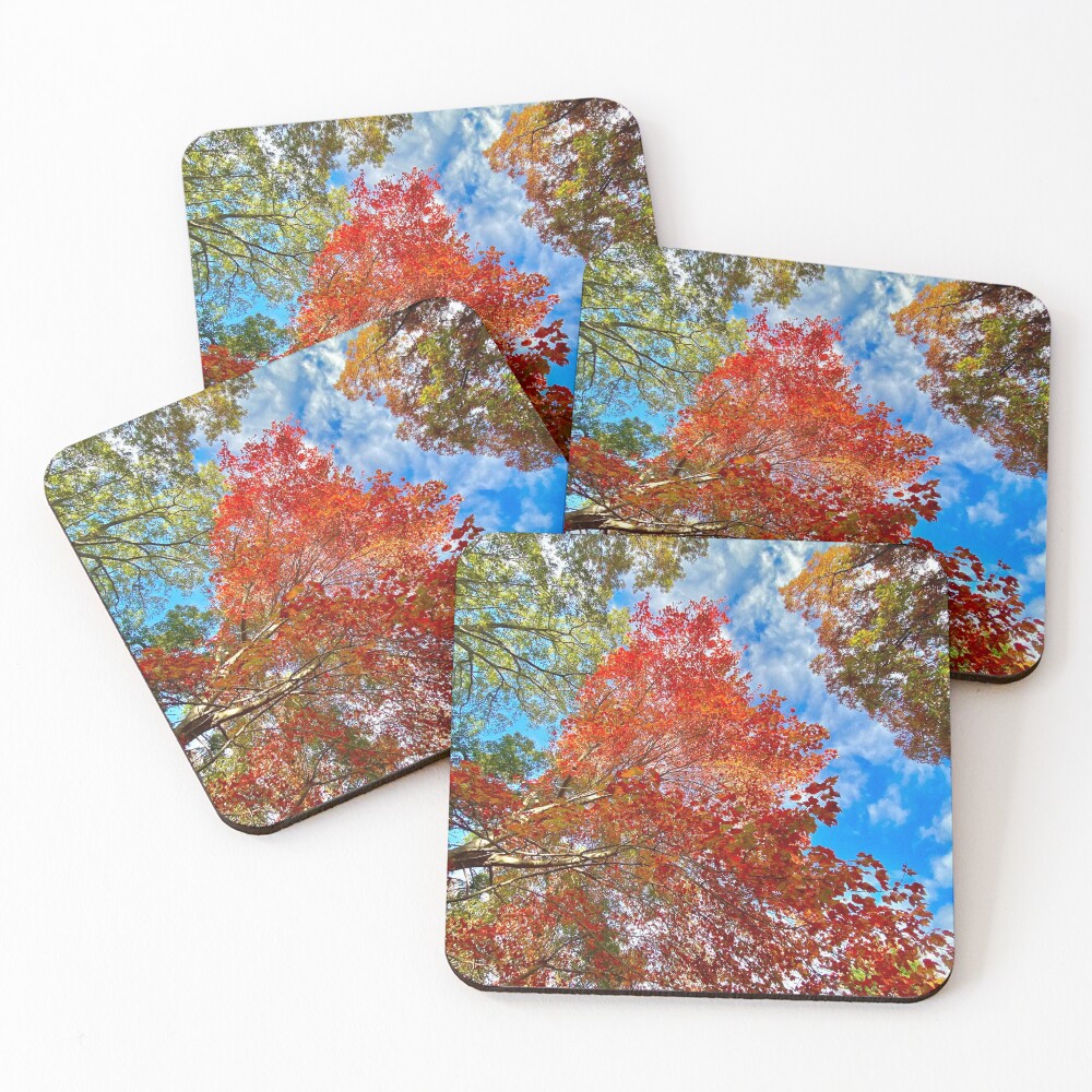 Item preview, Coasters (Set of 4) designed and sold by CSWard.