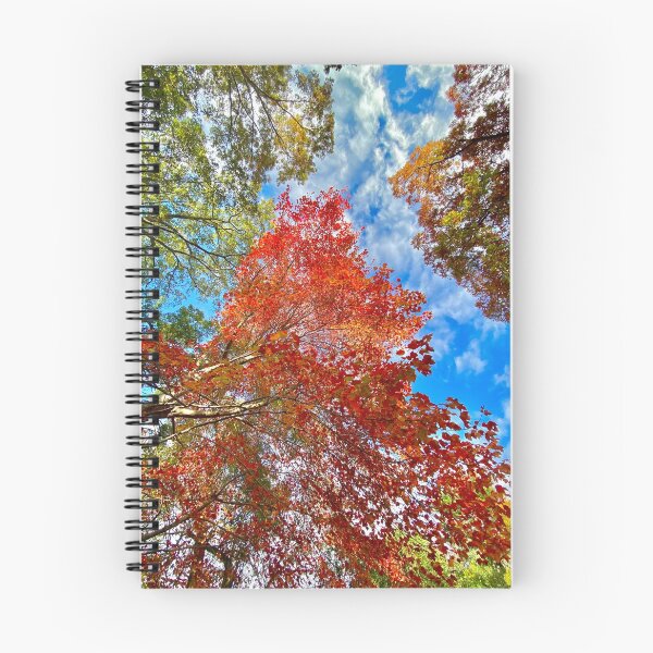 Item preview, Fall Foliage designed and sold by Caleb Ward.