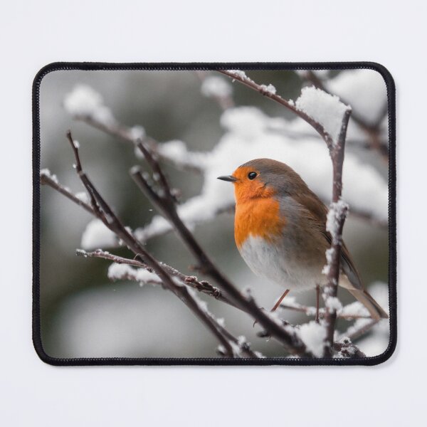 Item preview, Red Robin Bird In The Snow designed and sold by Patricia Jacobs.