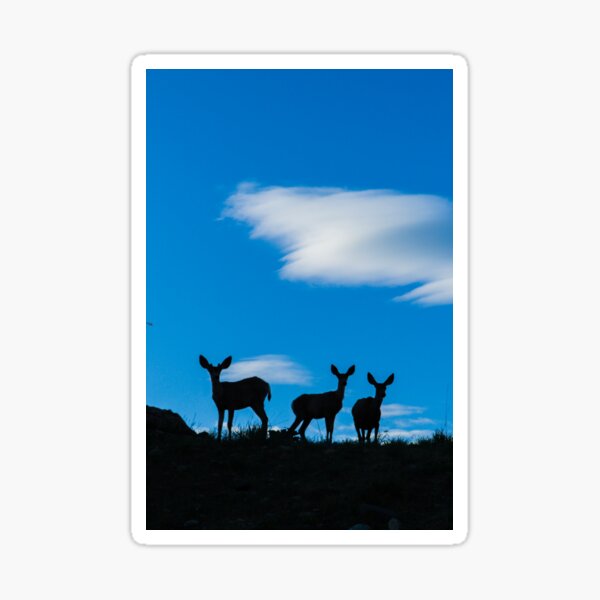 Oh Deer! Sticker