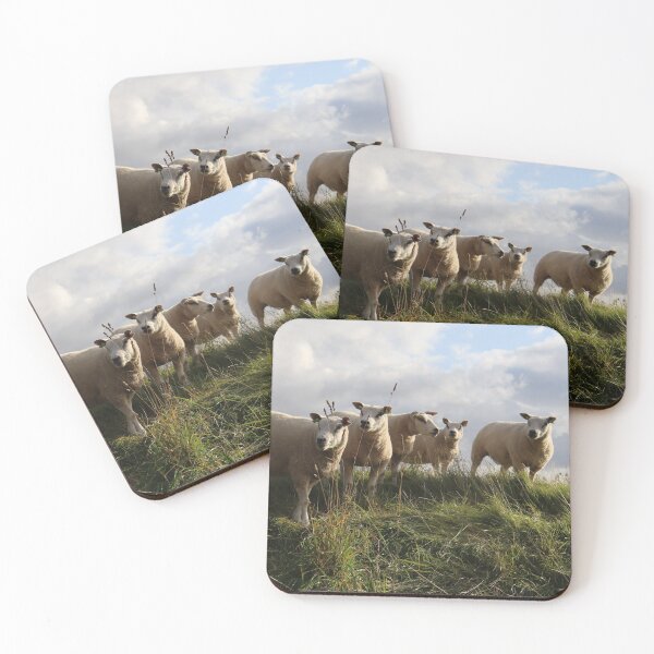 Item preview, Sheep designed and sold by MvMeer.