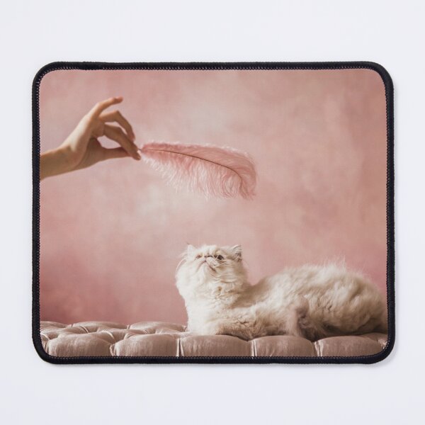 Item preview, Silver Persian kitten 5 months old plays with a pink feather  designed and sold by Evgeniia Biriukova.