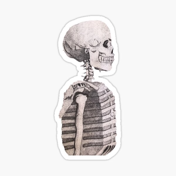 Talking Skeleton Stickers for Sale | Redbubble Talking Skeleton Stickers for Sale | Redbubble