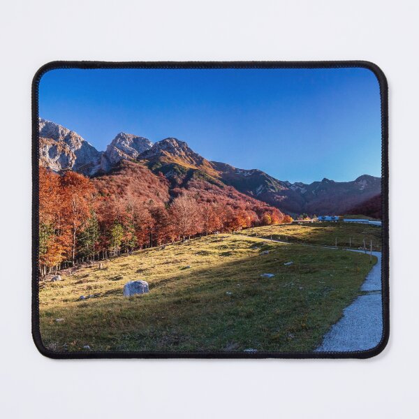 Item preview, Foliage in the woods of Val di Resia, Friuli-Venezia Giulia designed and sold by zakaz86.