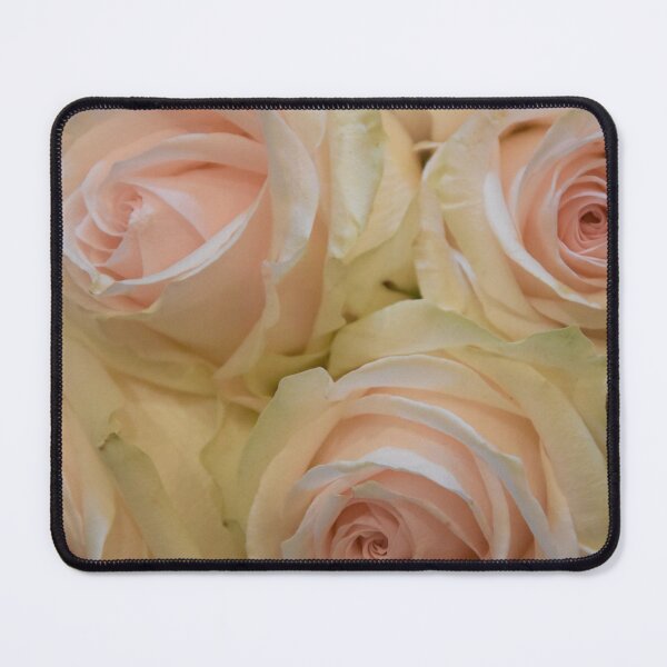 Item preview, Pink & White Roses Wedding Flowers  designed and sold by newburyboutique.