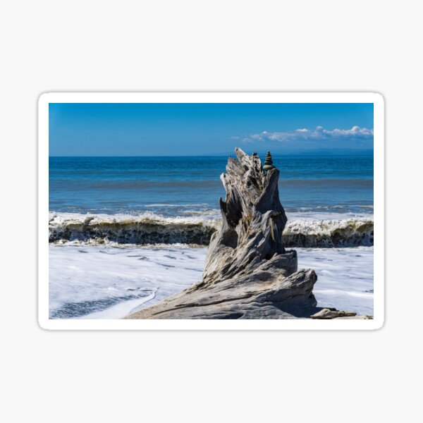 Driftwood in the Surf Sticker