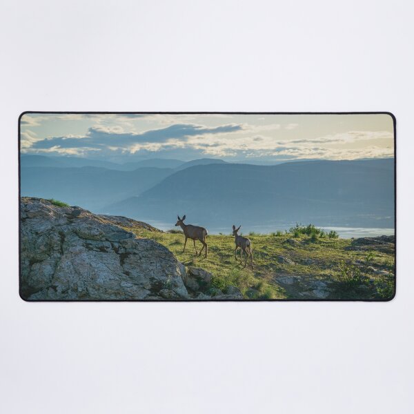 Kuipers' Peak Deer Desk Mat