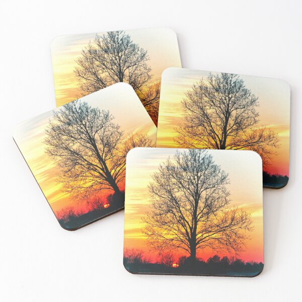Item preview,  New York Tree Silouette Sunset - Scenery designed and sold by GreenEnvytt.