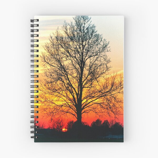 Item preview,  New York Tree Silouette Sunset - Scenery designed and sold by GreenEnvytt.