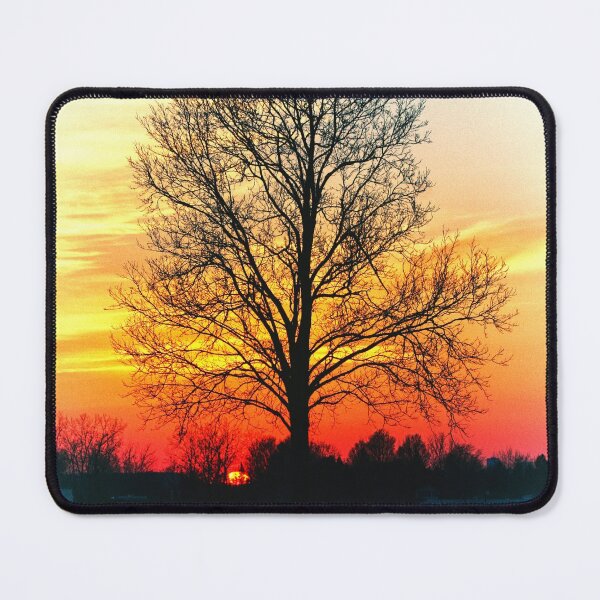 Item preview, New York Tree Silouette Sunset - Scenery designed and sold by GreenEnvytt.