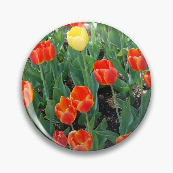 Item preview, Celebrate Differences designed and sold by Kathleen Brant.