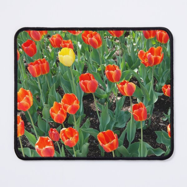 Item preview, Celebrate Differences designed and sold by Kathleen Brant.