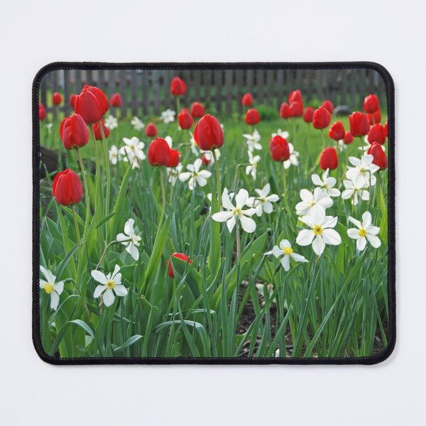 Item preview, Tulips and Tiny Daffodils designed and sold by Kathleen Brant.