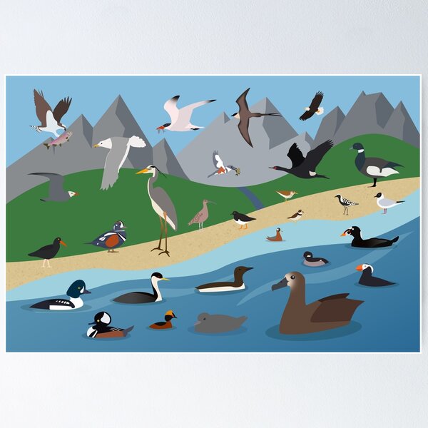 Item preview, Birds of the Pacific Northwest  designed and sold by SonOfAJeffer.