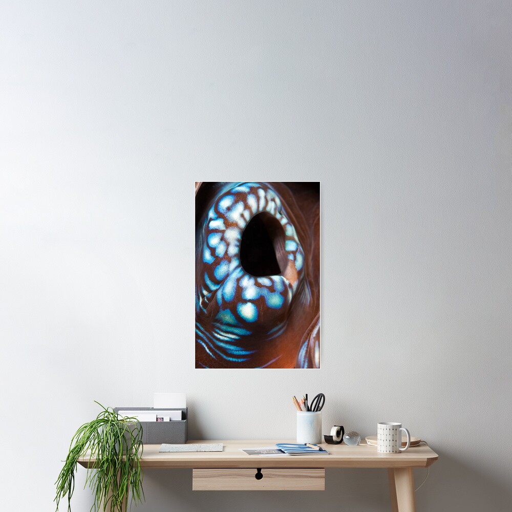 Black hole Poster