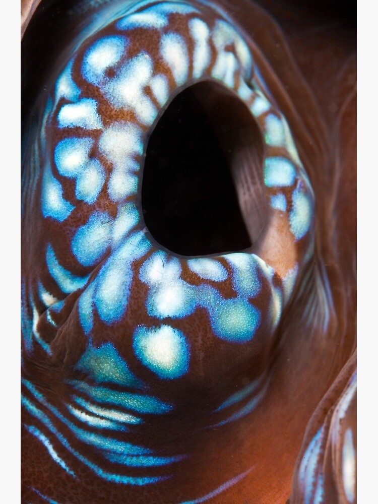 Black hole by DavidWachenfeld