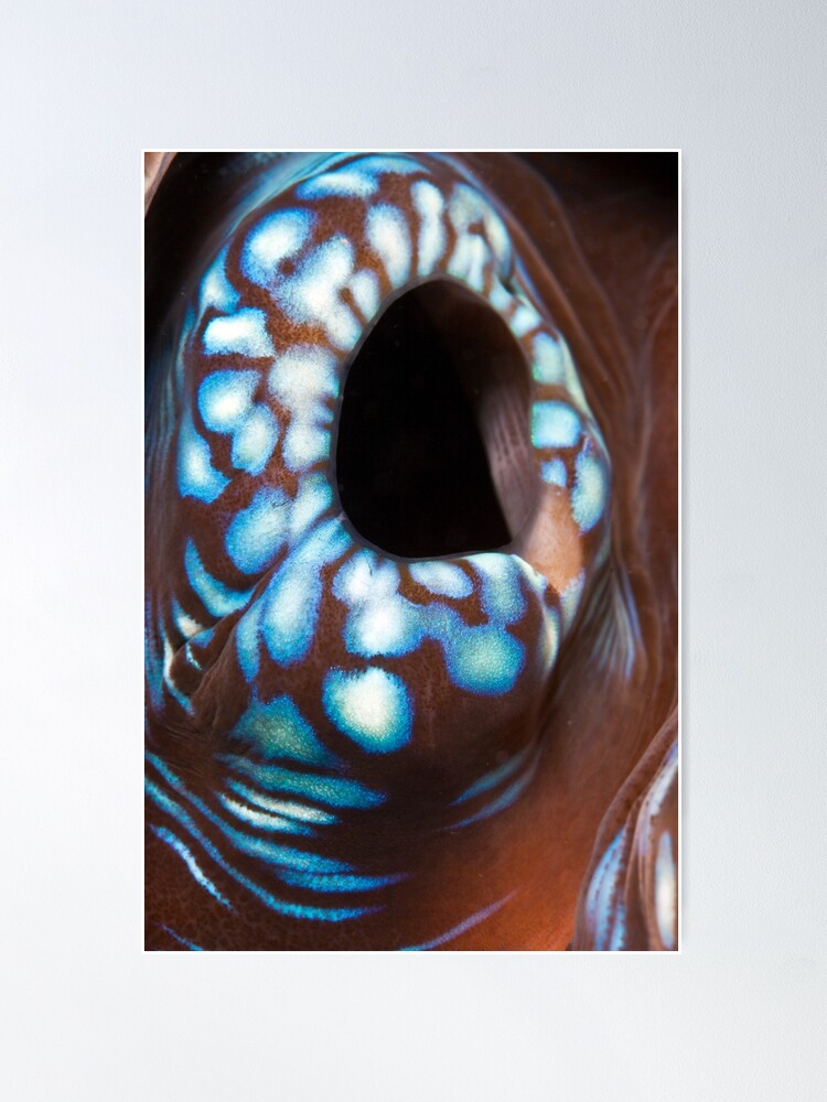 Alternate view of Black hole Poster