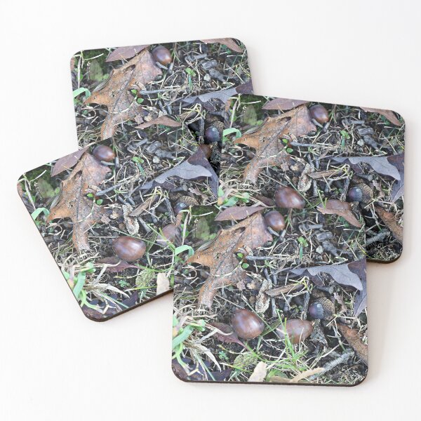 Item preview, Acorns and Leaves designed and sold by Martha Sherman.